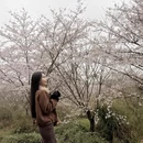 贵阳旅游 缩略图 5