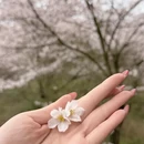贵阳旅游 缩略图 4