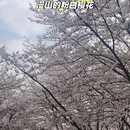 贵阳旅游 缩略图 7