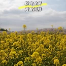 贵阳旅游 缩略图 10
