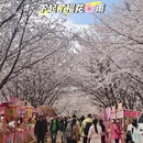 贵阳旅游 缩略图 15