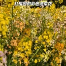 贵阳旅游 缩略图 5