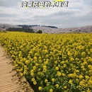 贵阳旅游 缩略图 11