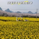 贵阳旅游 缩略图 8