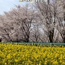 贵阳旅游 缩略图 14