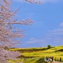 贵安旅游 缩略图 4