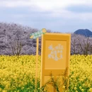 贵安旅游 缩略图 2