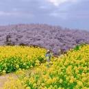 贵安旅游 缩略图 1