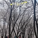 贵阳旅游 缩略图 12