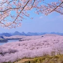 贵安旅游 缩略图 5
