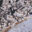 贵阳旅游 缩略图 10