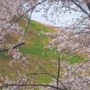 贵阳旅游 缩略图 6