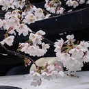 贵阳旅游 缩略图 12