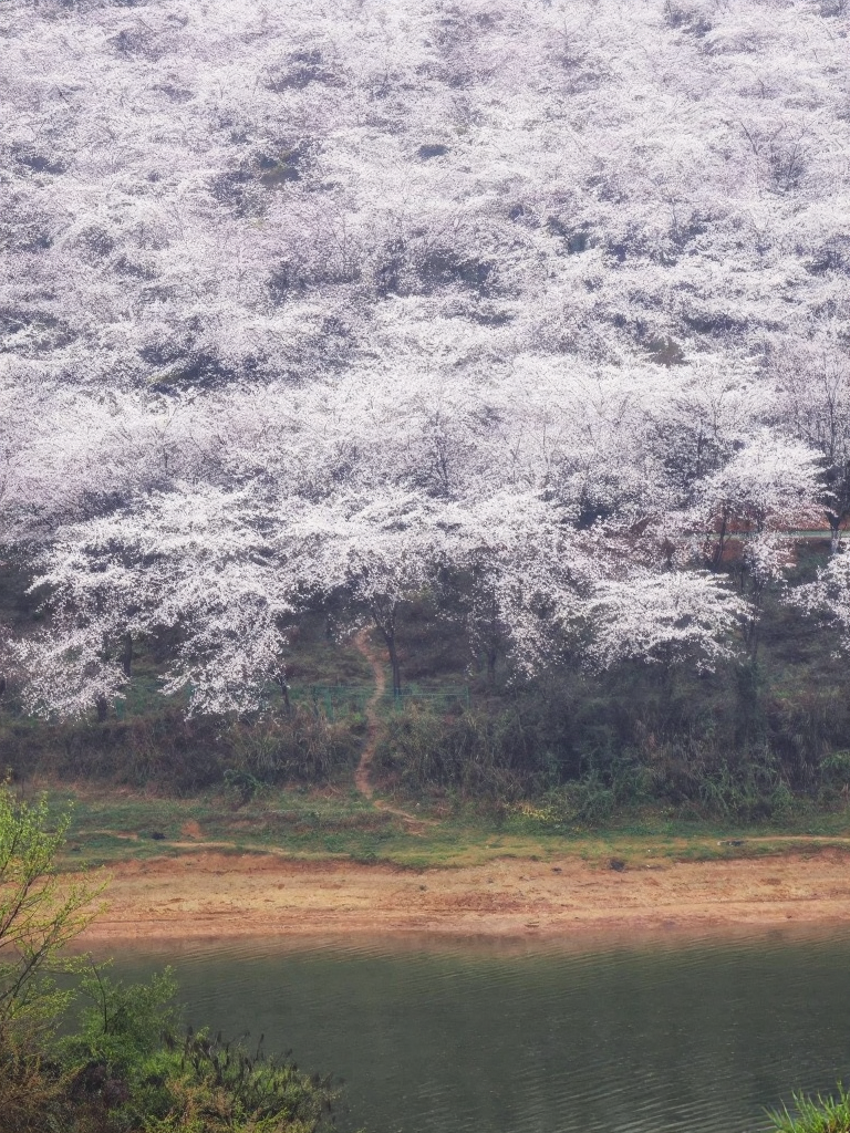 贵阳旅游