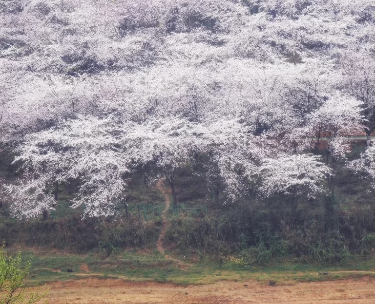 贵阳旅游 1