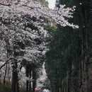 贵阳旅游 缩略图 13