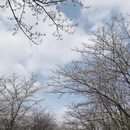 贵阳旅游 缩略图 4