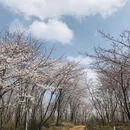 贵阳旅游 缩略图 3