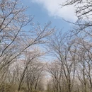 贵阳旅游 缩略图 2