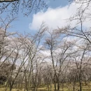 贵阳旅游 缩略图 7