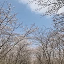 贵阳旅游 缩略图 1