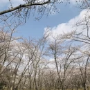 贵阳旅游 缩略图 6