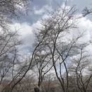 贵阳旅游 缩略图 8
