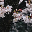 贵阳旅游 缩略图 15