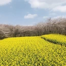 贵阳旅游 缩略图 12