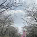 贵阳旅游 缩略图 11