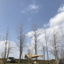 贵阳旅游 缩略图 14