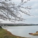 安顺旅游 缩略图 7