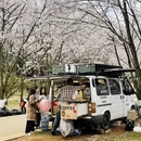 安顺旅游 缩略图 6