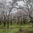安顺旅游 缩略图 8