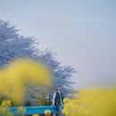 贵阳旅游 缩略图 7