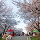 贵阳旅游 缩略图 7