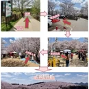 贵阳旅游 缩略图 4