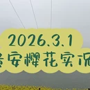 安顺旅游 缩略图 1