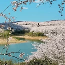 贵阳旅游 缩略图 6