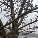 安顺旅游 缩略图 2