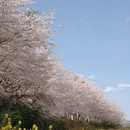 贵阳旅游 缩略图 8