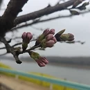安顺旅游 缩略图 3