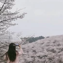 安顺旅游 缩略图 1