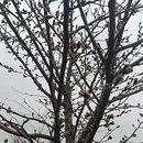 安顺旅游 缩略图 4