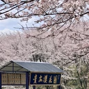 贵阳旅游 缩略图 4