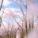 贵阳旅游 缩略图 3