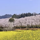 贵阳旅游 缩略图 6
