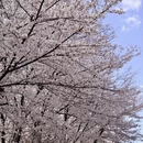 贵阳旅游 缩略图 9