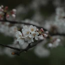 安顺旅游 缩略图 6