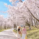 贵阳旅游 缩略图 1